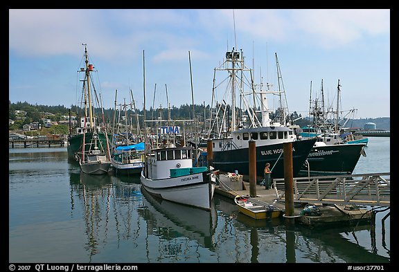 Commercial fishing boats. Newport, Oregon, USA
