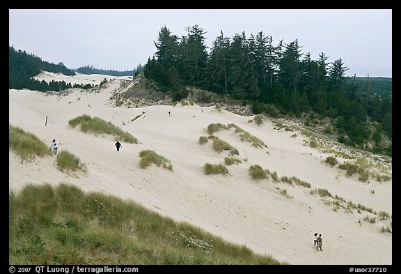 Dunes and hikers, Oregon Dunes National Recreation Area. Oregon, USA (color)