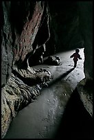 Infant walking out of sea cave. Bandon, Oregon, USA (color)