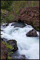 Water flowing from under basalt tube. Oregon, USA