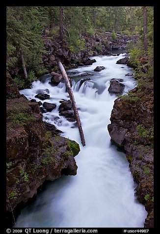 Rogue Gorge. Oregon, USA (color)