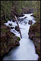 Rogue Gorge. Oregon, USA ( color)