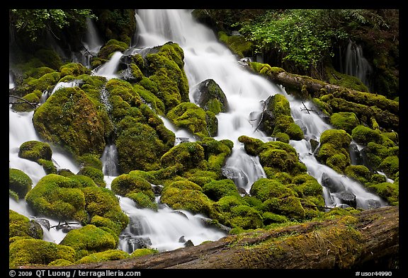 Mossy rocks and stream, North Umpqua river. Oregon, USA
