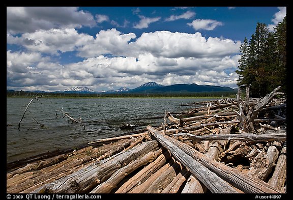 Crane Praire Reservoir and logs. Oregon, USA (color)