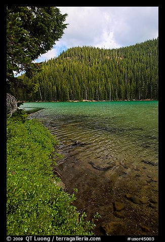 Clear emerald waters, Devils Lake. Oregon, USA (color)