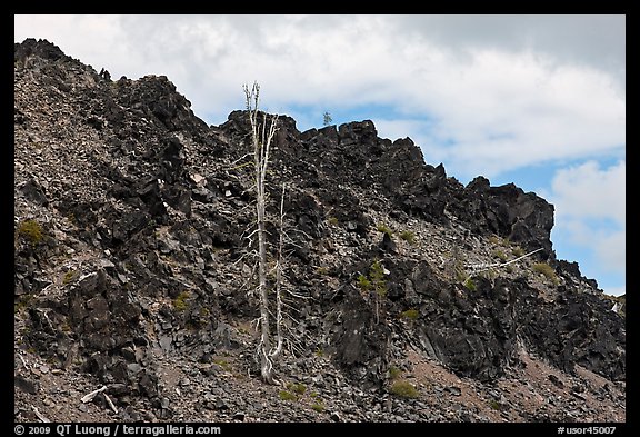 Lava outcrop, Deschutes National Forest. Oregon, USA (color)