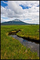 Stream, meadow, and South Sister, Deschutes National Forest. Oregon, USA (color)
