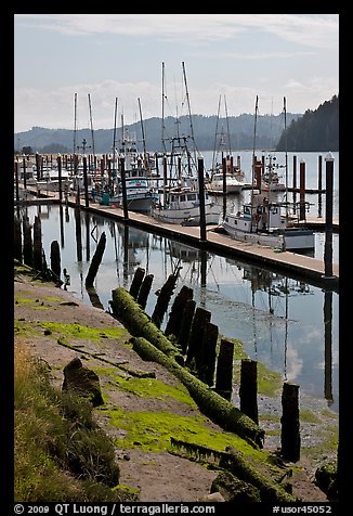 Harbor, Florence. Oregon, USA (color)