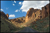 Road in Leslie Gulch. Oregon, USA (color)