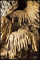 Stalactites, Oregon Caves National Monument. Oregon, USA (color)