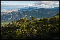 Forested ridges from Hobart Bluff. Cascade Siskiyou National Monument, Oregon, USA ( color)