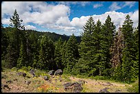 Clearing with distant view of Pilot Rock. Cascade Siskiyou National Monument, Oregon, USA ( color)