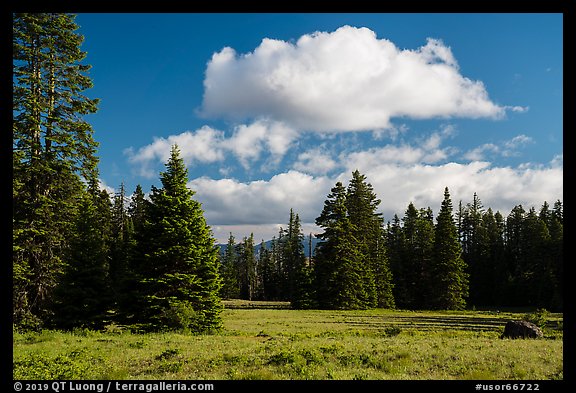Meadow and clouds near Grizzly Peak. Cascade Siskiyou National Monument, Oregon, USA