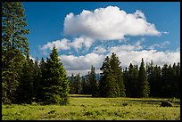 Meadow and clouds near Grizzly Peak. Cascade Siskiyou National Monument, Oregon, USA ( color)