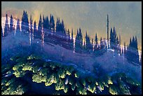 Aerial view of looking down Hyatt Lake shoreline with tree shadows. Cascade Siskiyou National Monument, Oregon, USA ( color)
