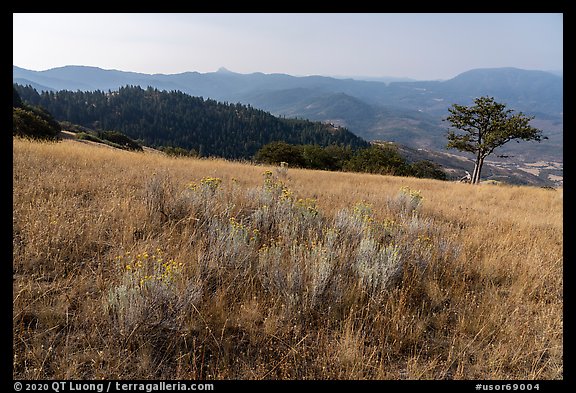 Meadow and Rogue Valley, Green Springs Mountain. Cascade Siskiyou National Monument, Oregon, USA