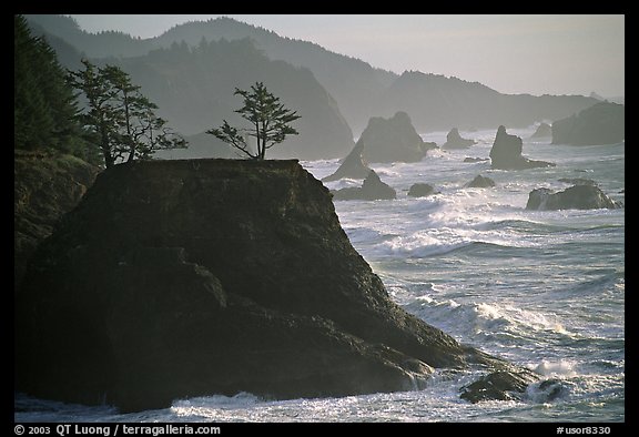 Coastline with rocks and seastacks, Samuel Boardman State Park. Oregon, USA (color)