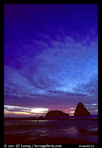 Seastack at sunset. Oregon, USA