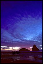 Seastack at sunset. Oregon, USA (color)