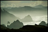 Pictures of Southern Oregon Coast