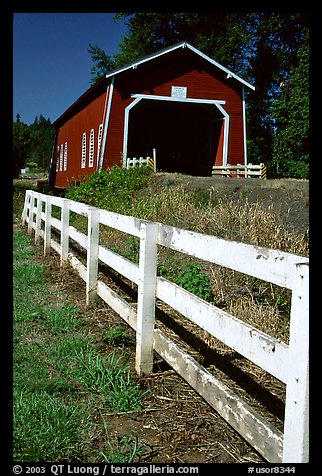 Fence and red covered bridge, Willamette Valley. Oregon, USA