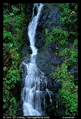 Waterfall, Hamburg Mountain State Parke. Oregon, USA (color)