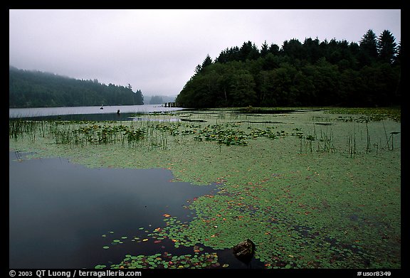 Coastal lagoon. Oregon, USA