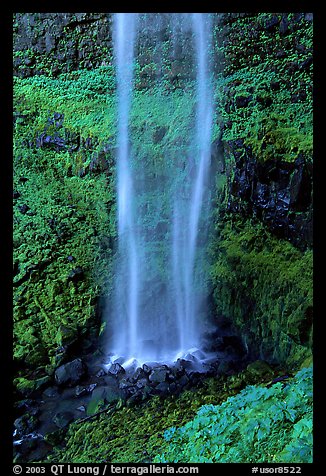 Diaphane waterfall, North Umpqua watershed. Oregon, USA (color)