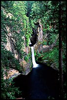 Toketee Falls. Oregon, USA (color)
