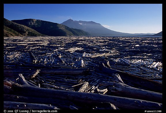 Knocked tree trunks cover Spirit Lake. Mount St Helens National Volcanic Monument, Washington