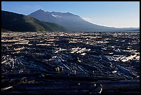 Enormousn tree mat cover Spirit Lake, and Mt St Helens. Mount St Helens National Volcanic Monument, Washington ( color)