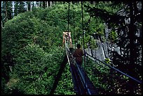 Hiker walks on suspension bridge, Lava Canyon. Mount St Helens National Volcanic Monument, Washington (color)