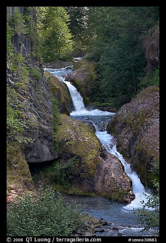 Muddy River cascades in Lava Canyon. Mount St Helens National Volcanic Monument, Washington