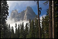 Liberty Bell Mountain framed by spruce trees. Washington ( color)