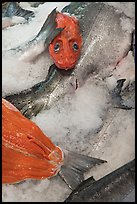 Fresh salmon for sale, Pike Place Market. Seattle, Washington ( color)