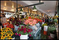Flowers for sale in Main Arcade daystall,. Seattle, Washington ( color)