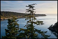 Deception Bay, Whidbey Island. Olympic Peninsula, Washington (color)