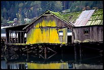 Old wooden pier, Olympic Peninsula. Olympic Peninsula, Washington (color)