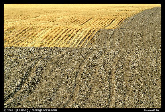 Undulating field with plowing patterns, The Palouse. Washington (color)