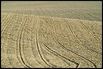 Field with curved plowing lines, The Palouse. Washington (color)