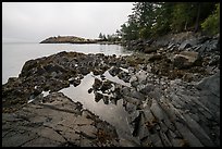 Tidepool, Watmough Bay, Lopez Island. Washington ( color)
