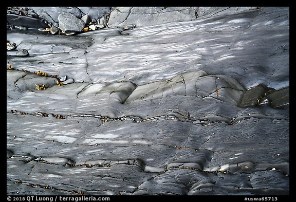 Polished slab and pebbles, Watmough Bay, Lopez Island. Washington