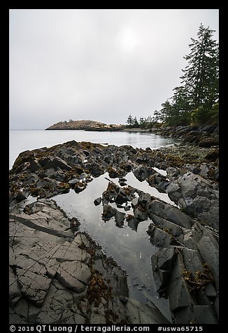 Rocky shore with pool and marine layer, Watmough Bay, Lopez Island. Washington (color)