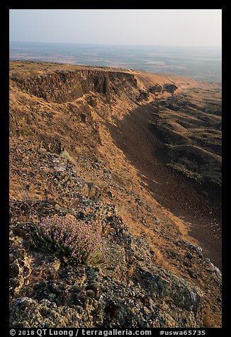 Wildflowers and cliff, Saddle Mountain, Hanford Reach National Monument. Washington (color)