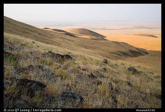 Rocks and grasses on hills and plain, Saddle Mountain Unit, Hanford Reach National Monument. Washington (color)