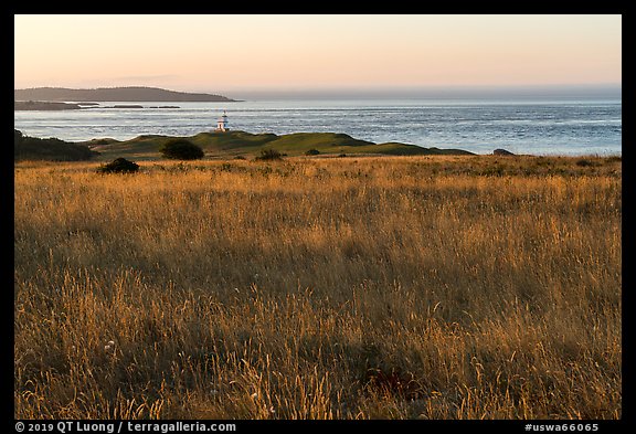 Meadow and Cattle Point Lighthouse, San Juan Islands National Monument, San Juan Island. Washington