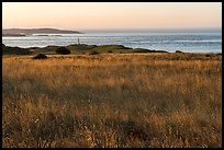 Meadow and Cattle Point Lighthouse, San Juan Islands National Monument, San Juan Island. Washington ( color)