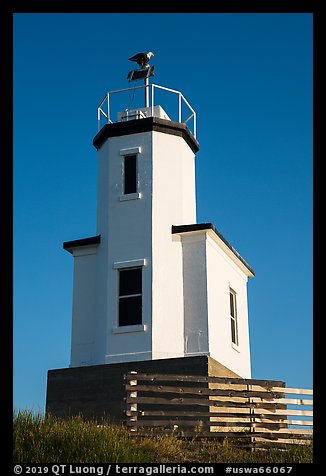 Cattle Point Lighthouse with perched bald eagle, San Juan Islands National Monument, San Juan Island. Washington
