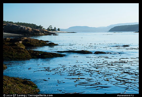 Strait with kelp, Cattle Point Natural Resources Conservation Area, San Juan Islands National Monument. Washington
