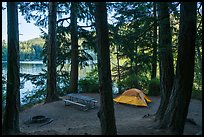 Lakeside campground, Moran State Park. Washington ( color)